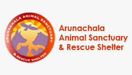 Arunachala Animal Sanctuary And Rescue Shelter